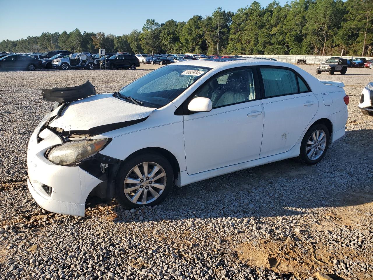 Lot #3280469154 2010 TOYOTA COROLLA BA