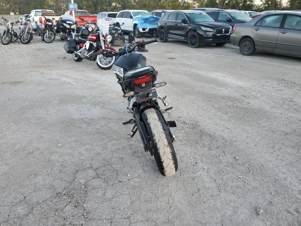 Lot #3301772327 2024 HONDA CBF300 NA