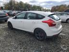 Lot #3294490498 2014 FORD FOCUS SE