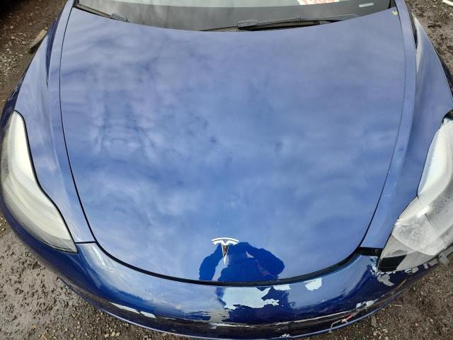 2023 TESLA MODEL 3 #3303723434
