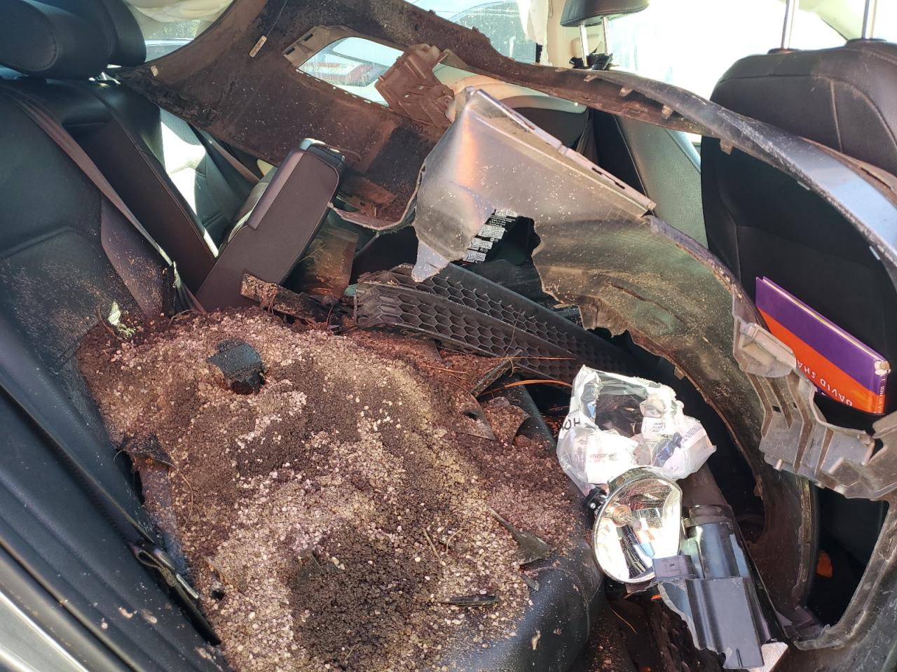 VOLKSWAGEN PASSAT SE