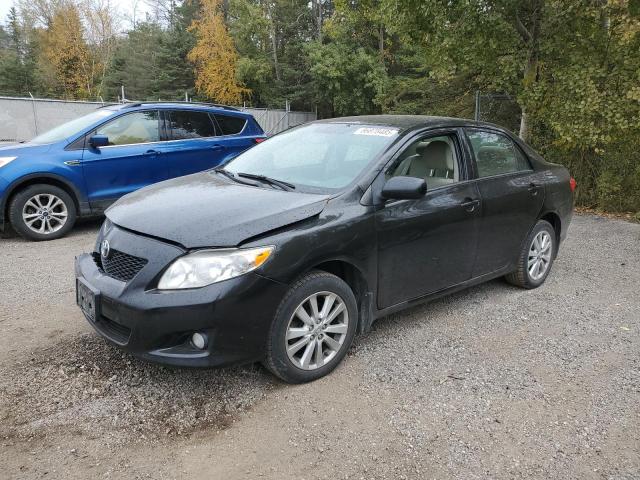 2010 TOYOTA COROLLA BA - 2T1BU4EE1AC373791