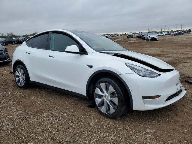 2023 TESLA MODEL Y #3284754531