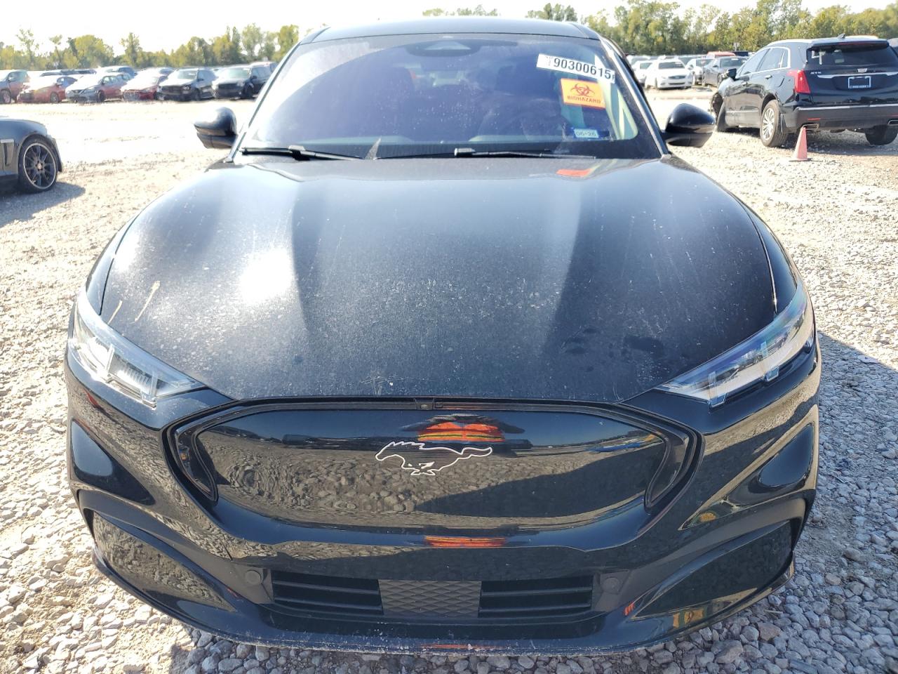 FORD MUSTANG PREMIUM