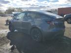Lot #3303570950 2023 TESLA MODEL Y