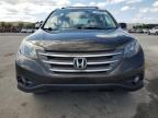 Lot #3305325326 2014 HONDA CR-V EXL