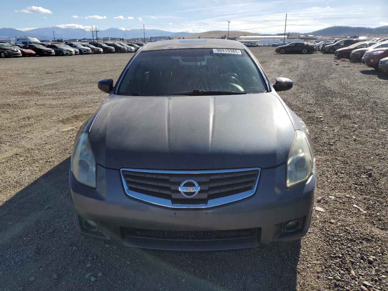 Lot #3277046157 2008 NISSAN MAXIMA SE