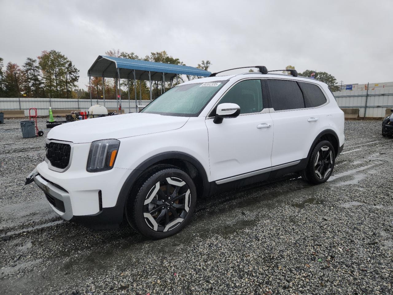 Lot #3287688021 2025 KIA TELLURIDE