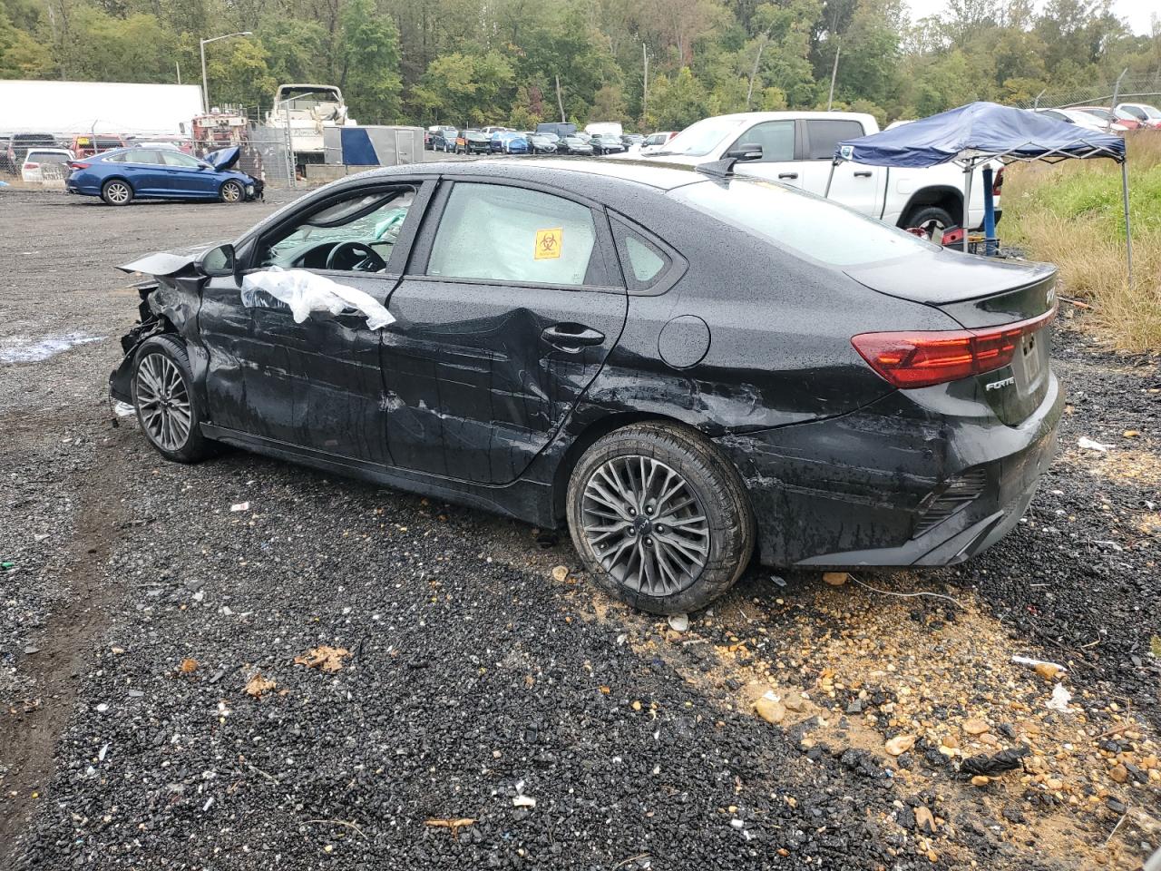 Lot #3309626087 2024 KIA FORTE GT L