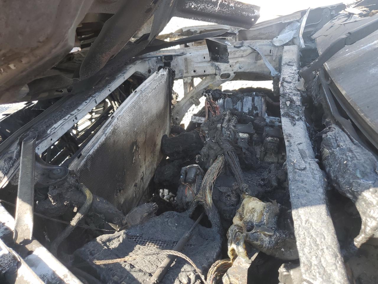 Lot #3302869897 2019 CHEVROLET SILVERADO C1500 LT