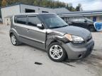 Lot #3293497413 2011 KIA SOUL +