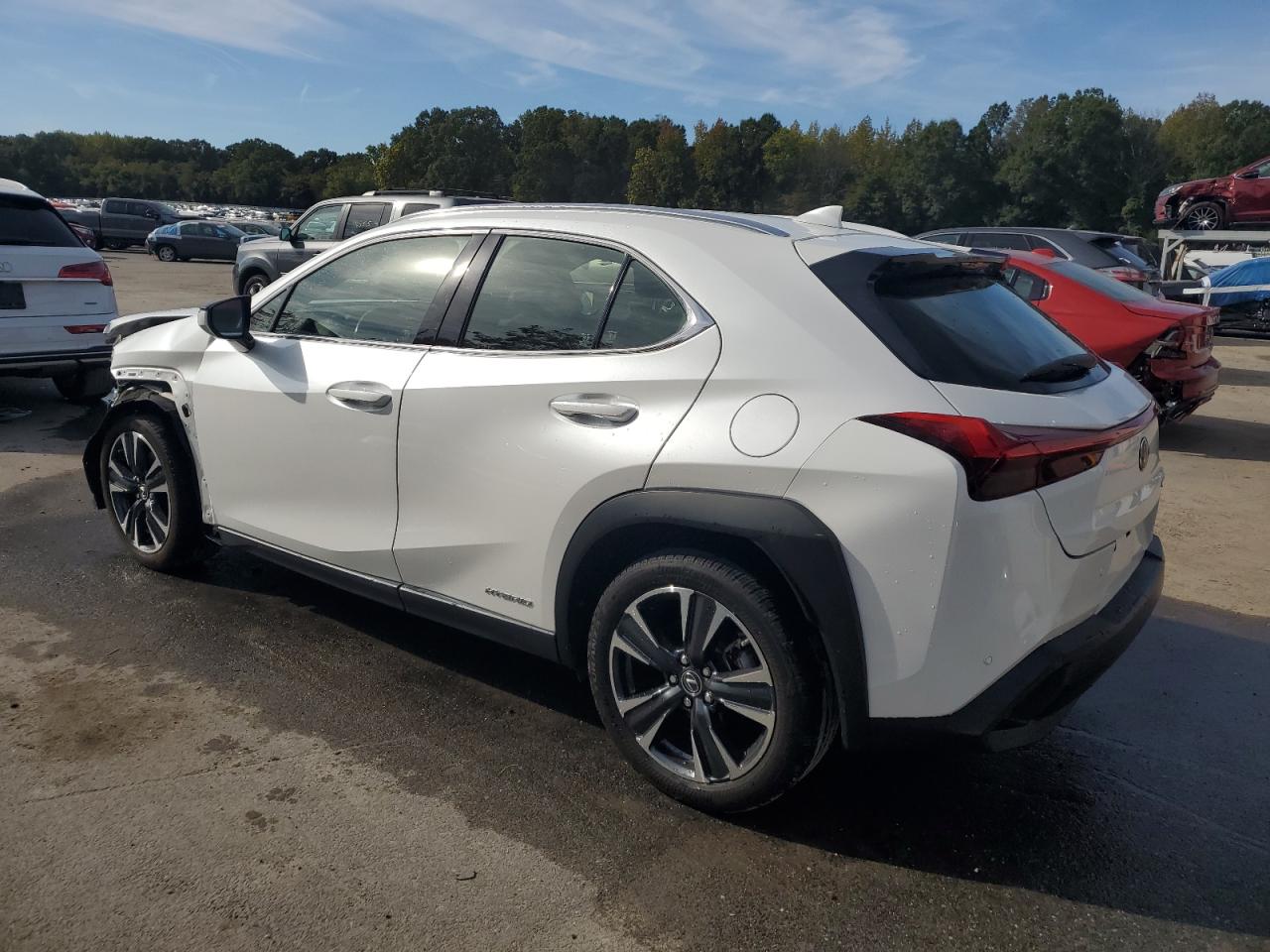 LEXUS UX 250H