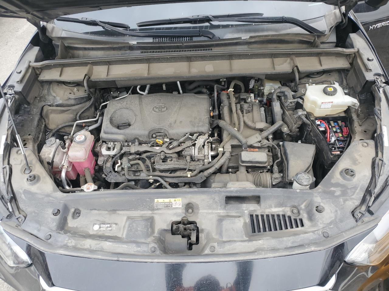 TOYOTA HIGHLANDER HYBRID XLE