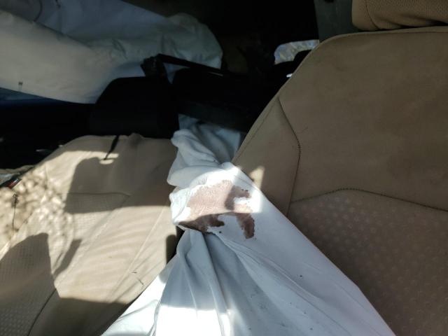 2023 HONDA CR-V LX - 7FARS4H26PE018730