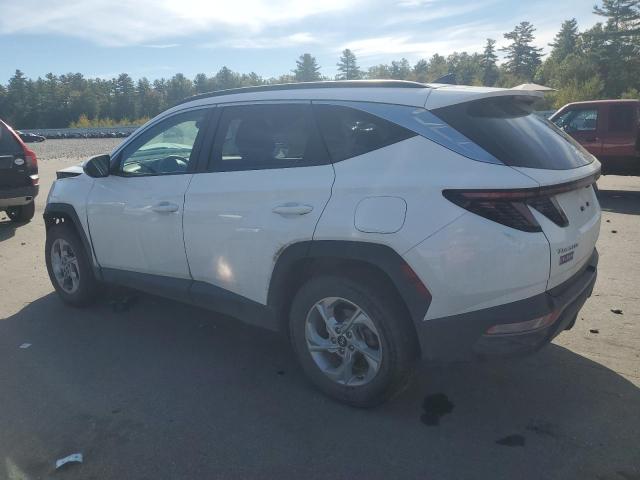 2023 HYUNDAI TUCSON SEL - 5NMJBCAE5PH240553