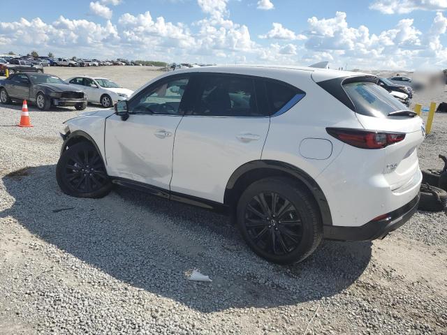 2025 MAZDA CX-5 PREMIUM - JM3KFBDYXS0551338