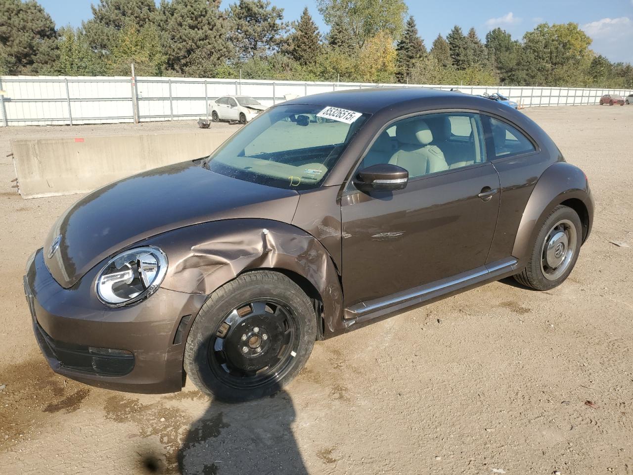 VOLKSWAGEN BEETLE