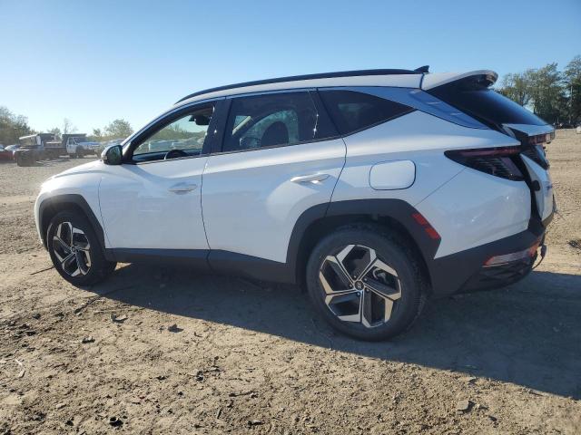 2023 HYUNDAI TUCSON LIM 5NMJECAE6PH237085