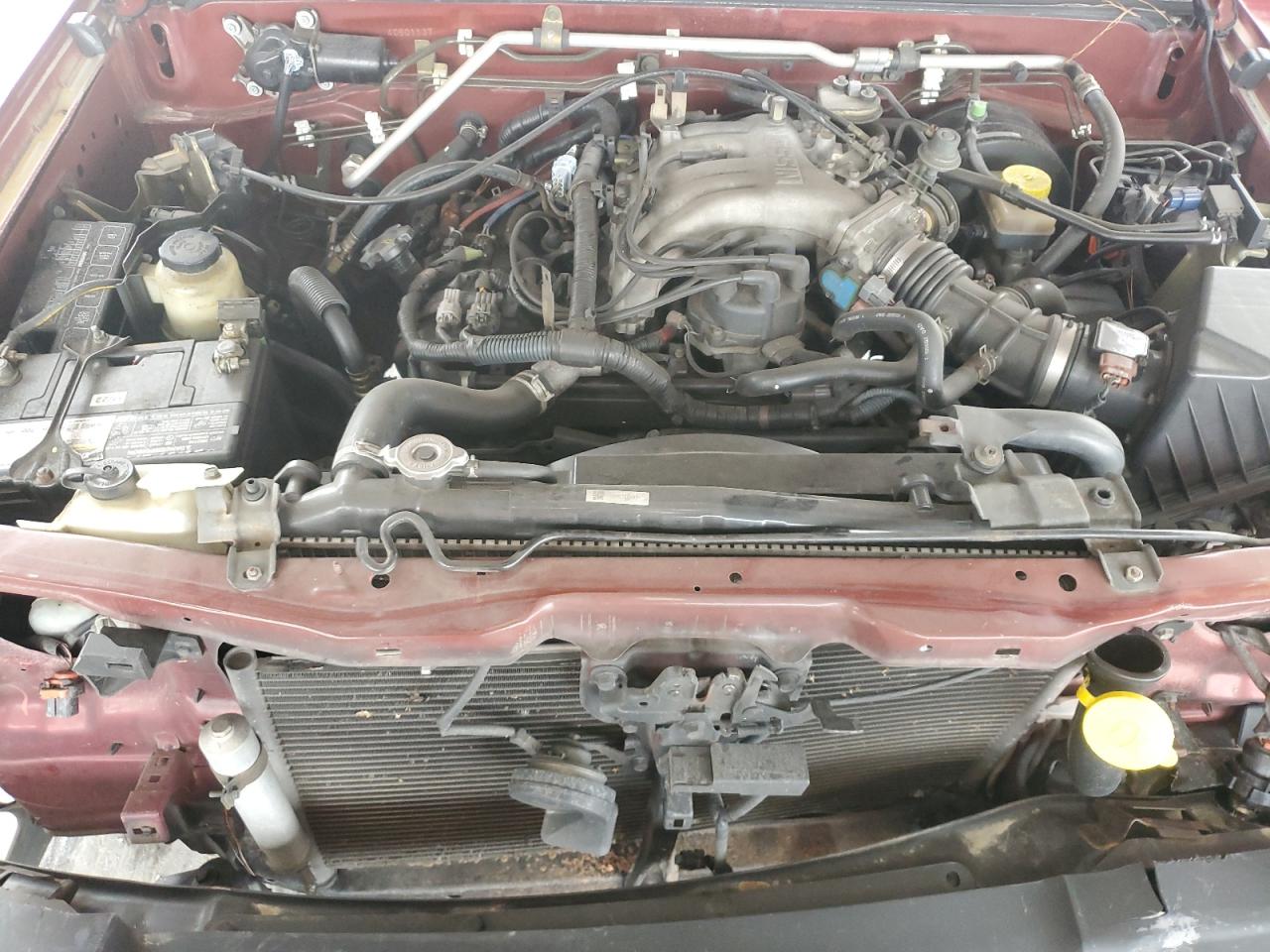 Lot #3282598874 2004 NISSAN XTERRA XE