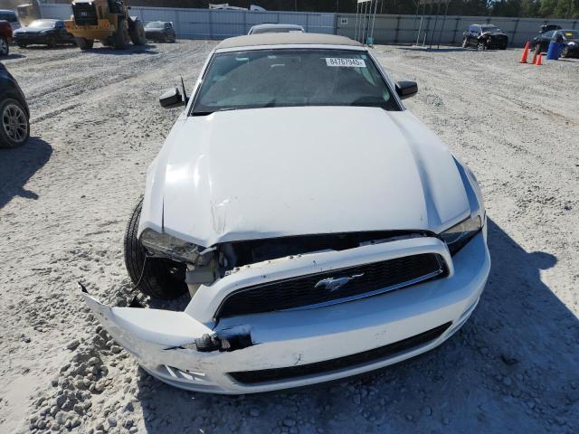 2013 FORD MUSTANG - 1ZVBP8EMXD5205085