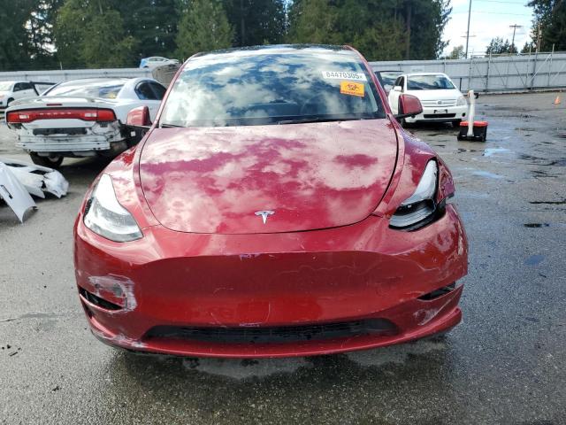 2025 TESLA MODEL Y - 7SAYGDEE9SF244389