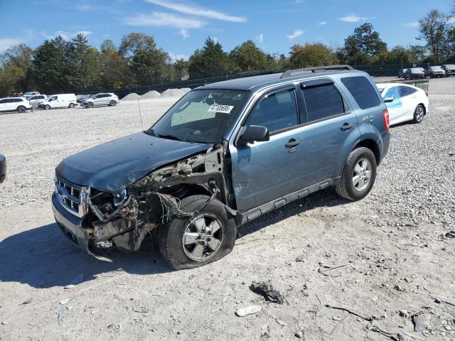 Global Auto Auctions: 2010 FORD ESCAPE XLT