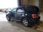 Lot #3310600319 2010 FORD ESCAPE XLT