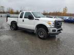 Lot #3312545833 2015 FORD SUPER DUTY F-250 W/S