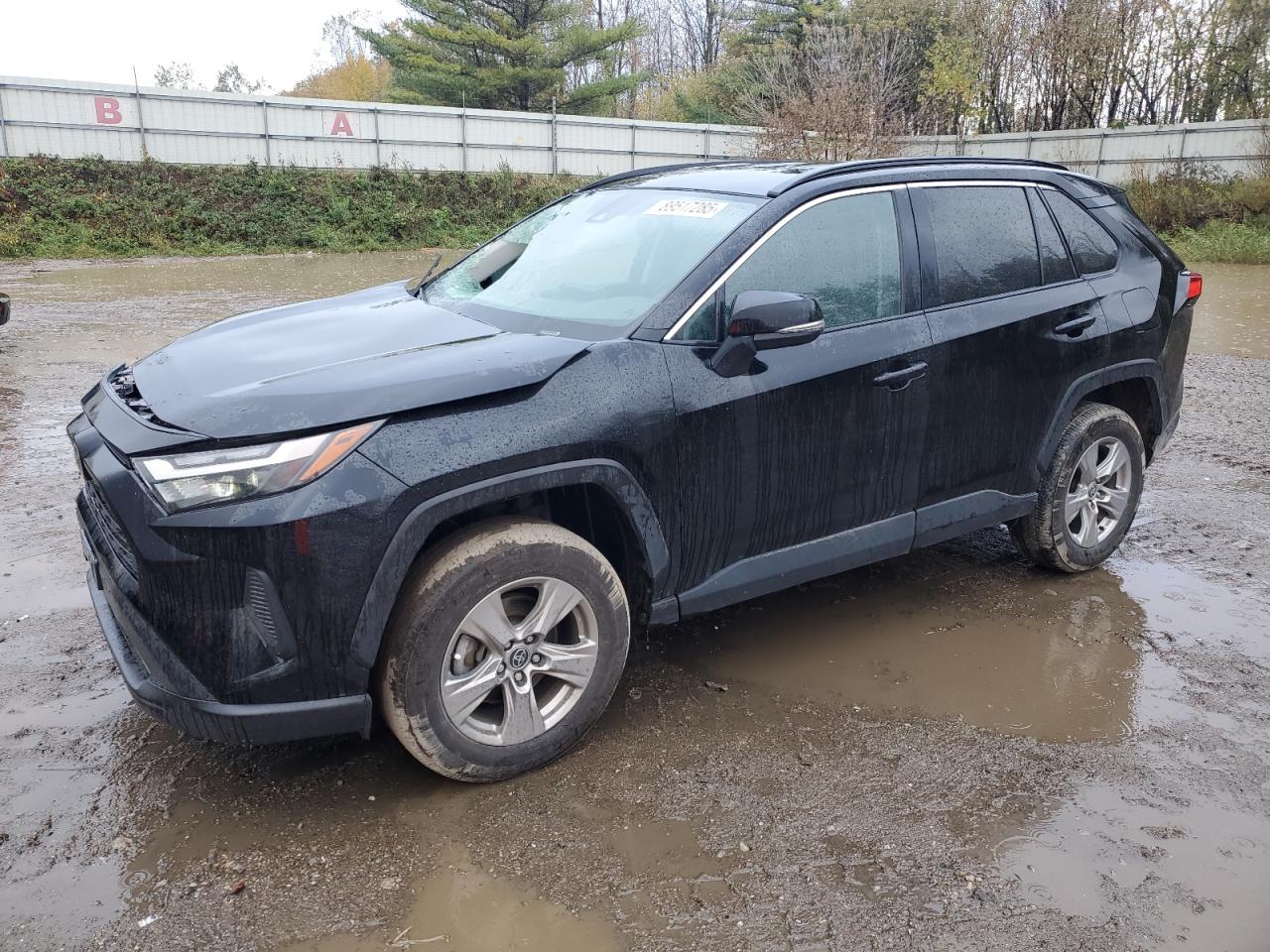 TOYOTA RAV4 XLE
