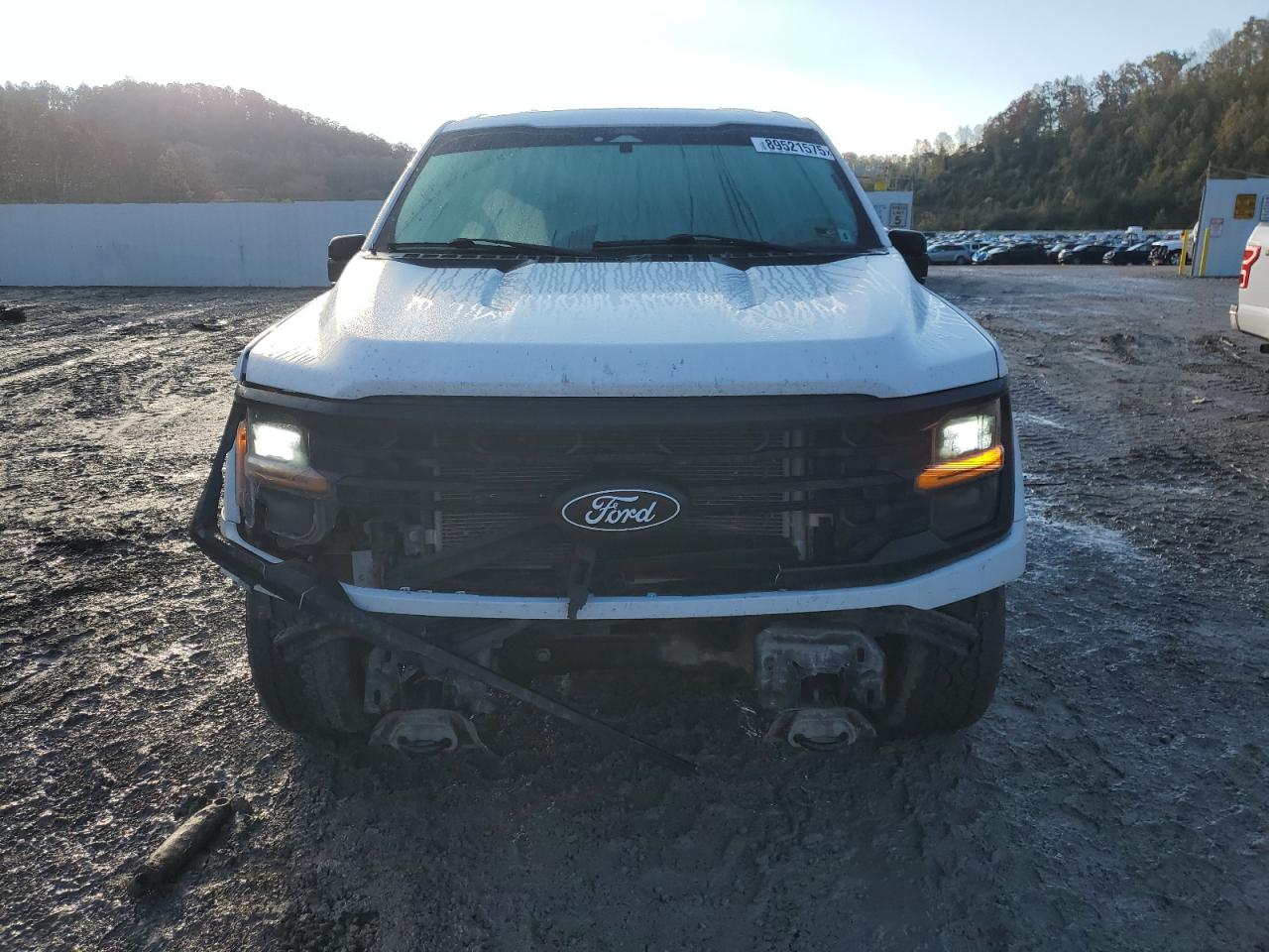 Lot #3292353305 2024 FORD F150 XLT