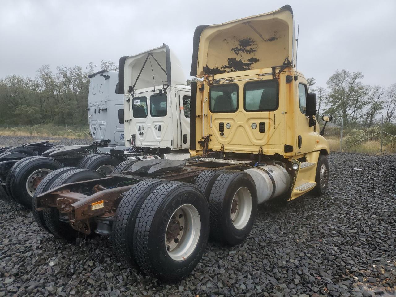 Lot #3266693371 2016 FREIGHTLINER CASCADIA 1