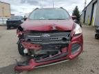 Lot #3296290501 2015 FORD ESCAPE SE