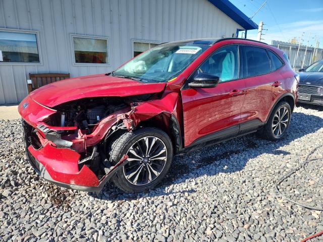 Global Auto Auctions: 2022 FORD ESCAPE SE