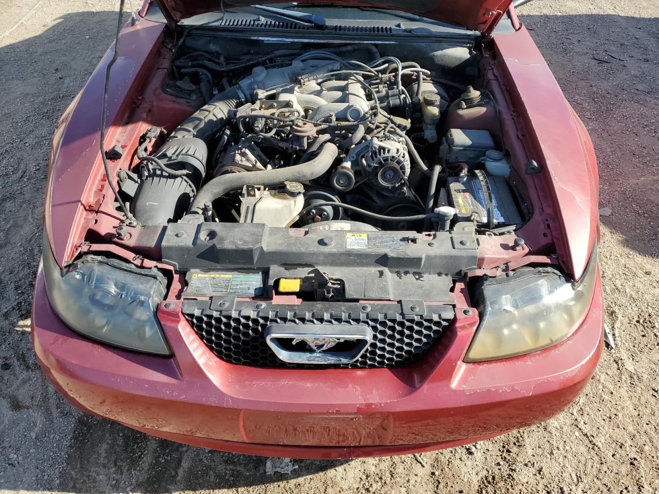 Lot #3290373774 2003 FORD MUSTANG