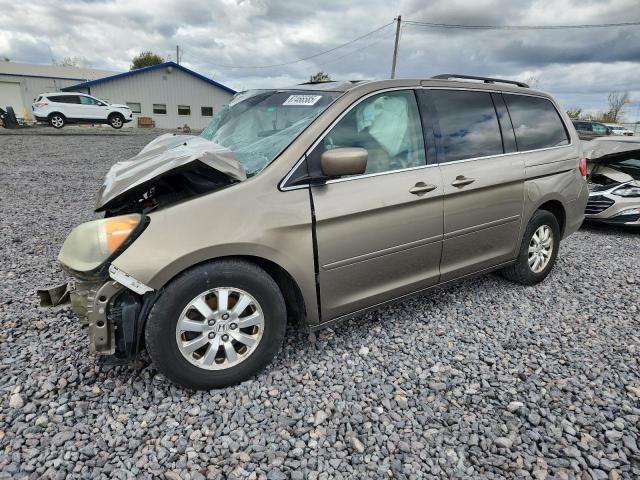 Global Auto Auctions: 2010 HONDA ODYSSEY EX