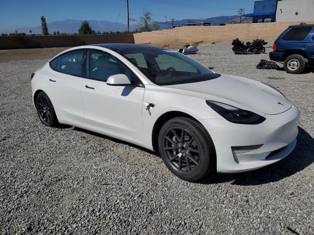 2021 TESLA MODEL 3 #3302766383