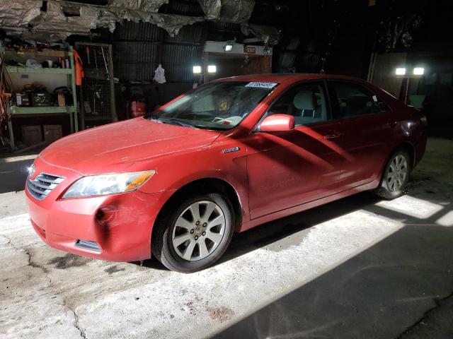 TOYOTA CAMRY HYBR