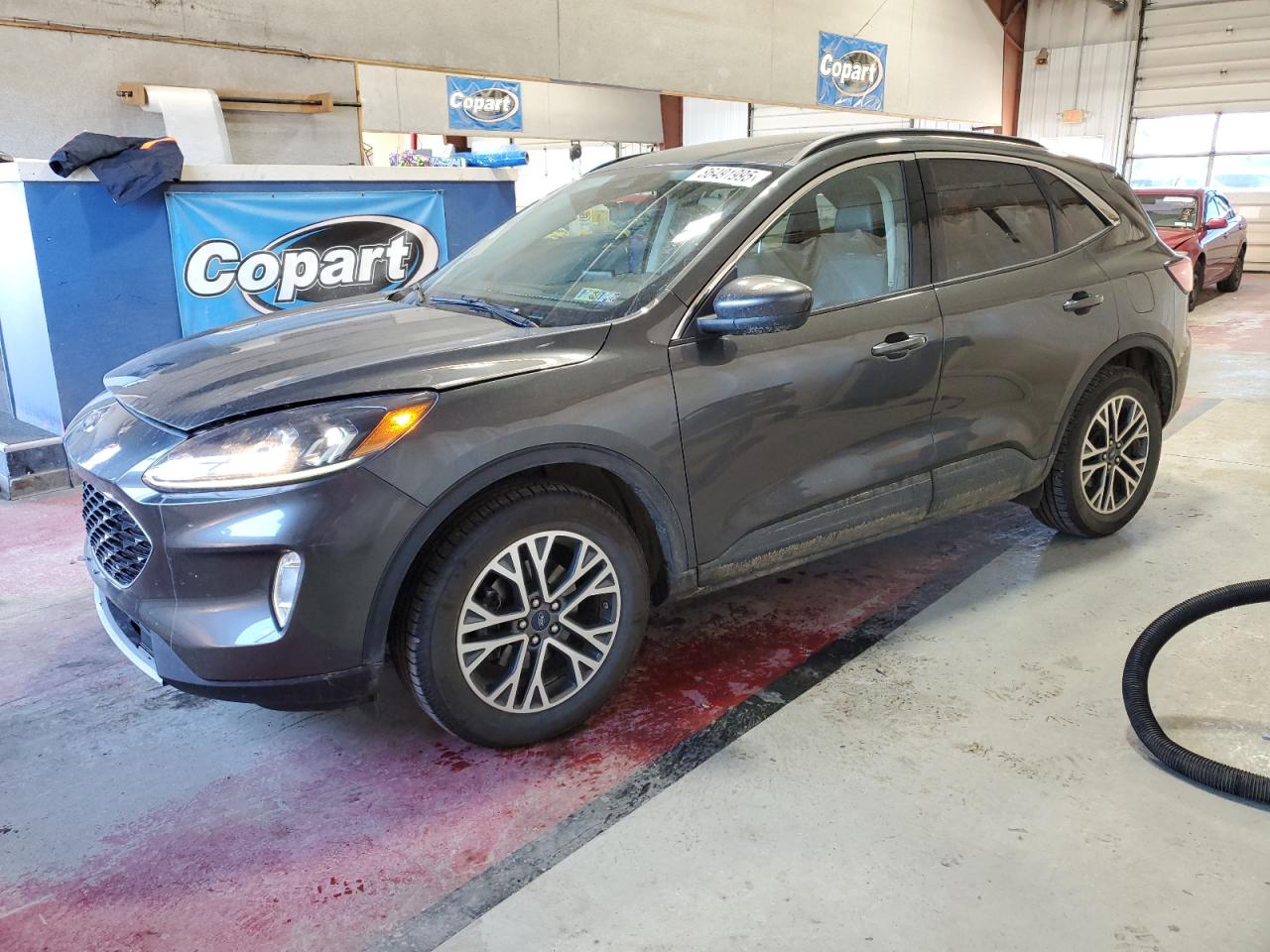 Lot #3298146297 2020 FORD ESCAPE SEL