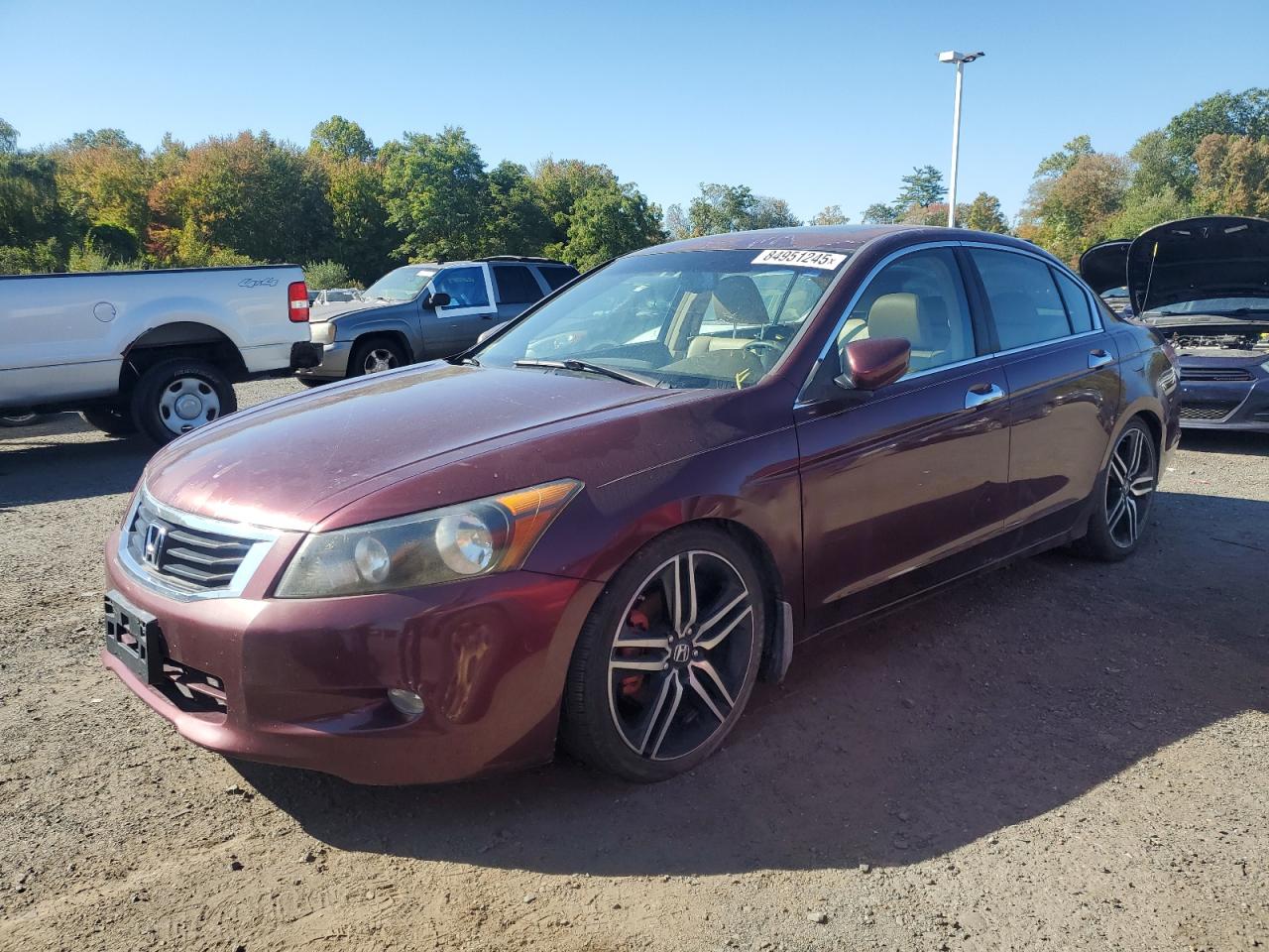 Lot #3258952007 2008 HONDA ACCORD EXL