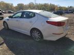 Lot #3315730343 2014 KIA OPTIMA EX