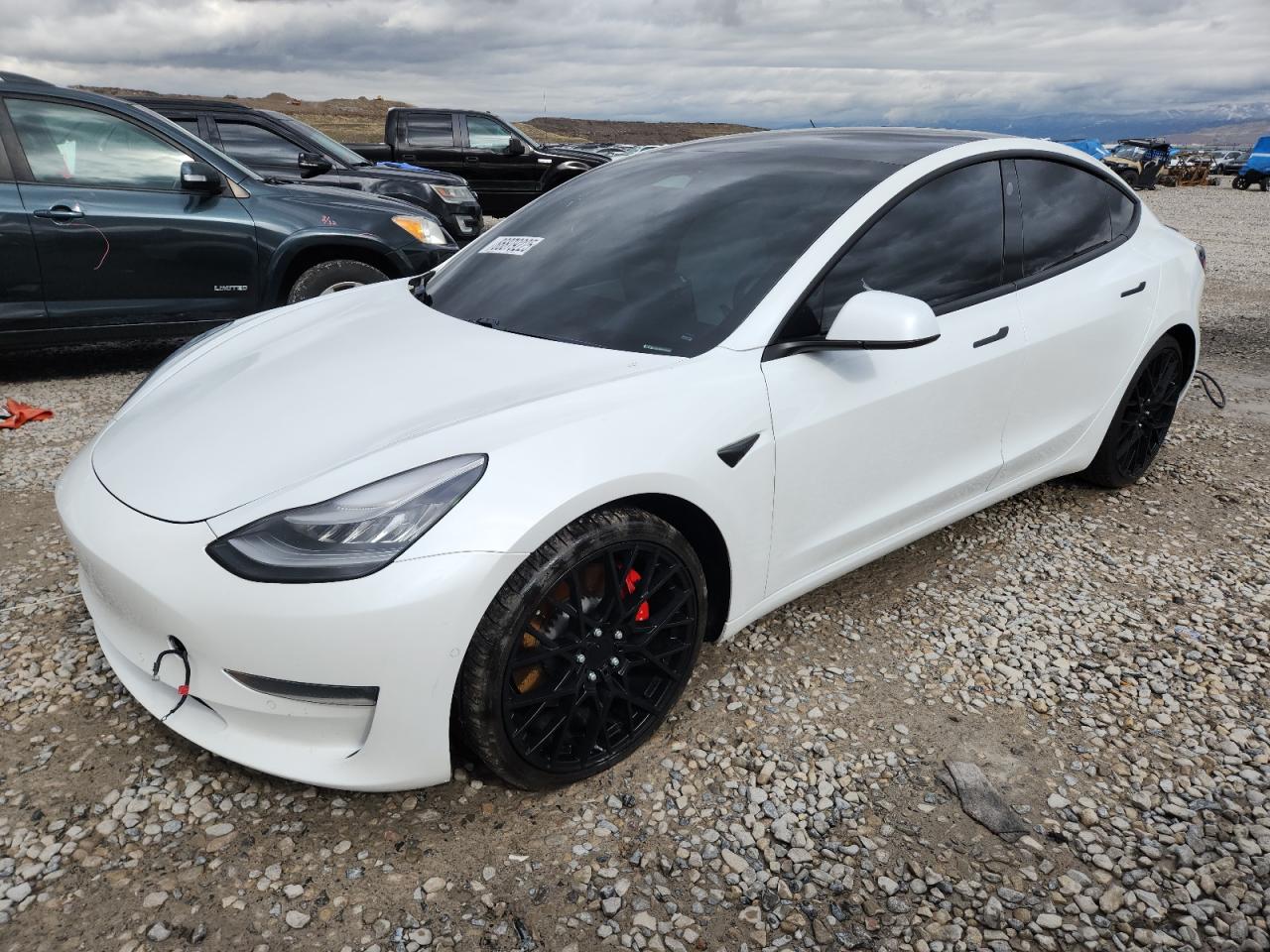 TESLA MODEL 3