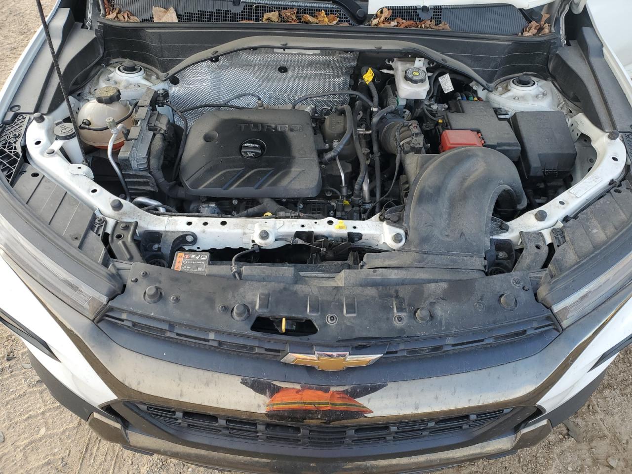 Lot #3305394314 2023 CHEVROLET TRAILBLAZE