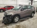 Lot #3303745425 2014 HONDA CR-V LX