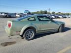 Lot #3301638640 2006 FORD MUSTANG