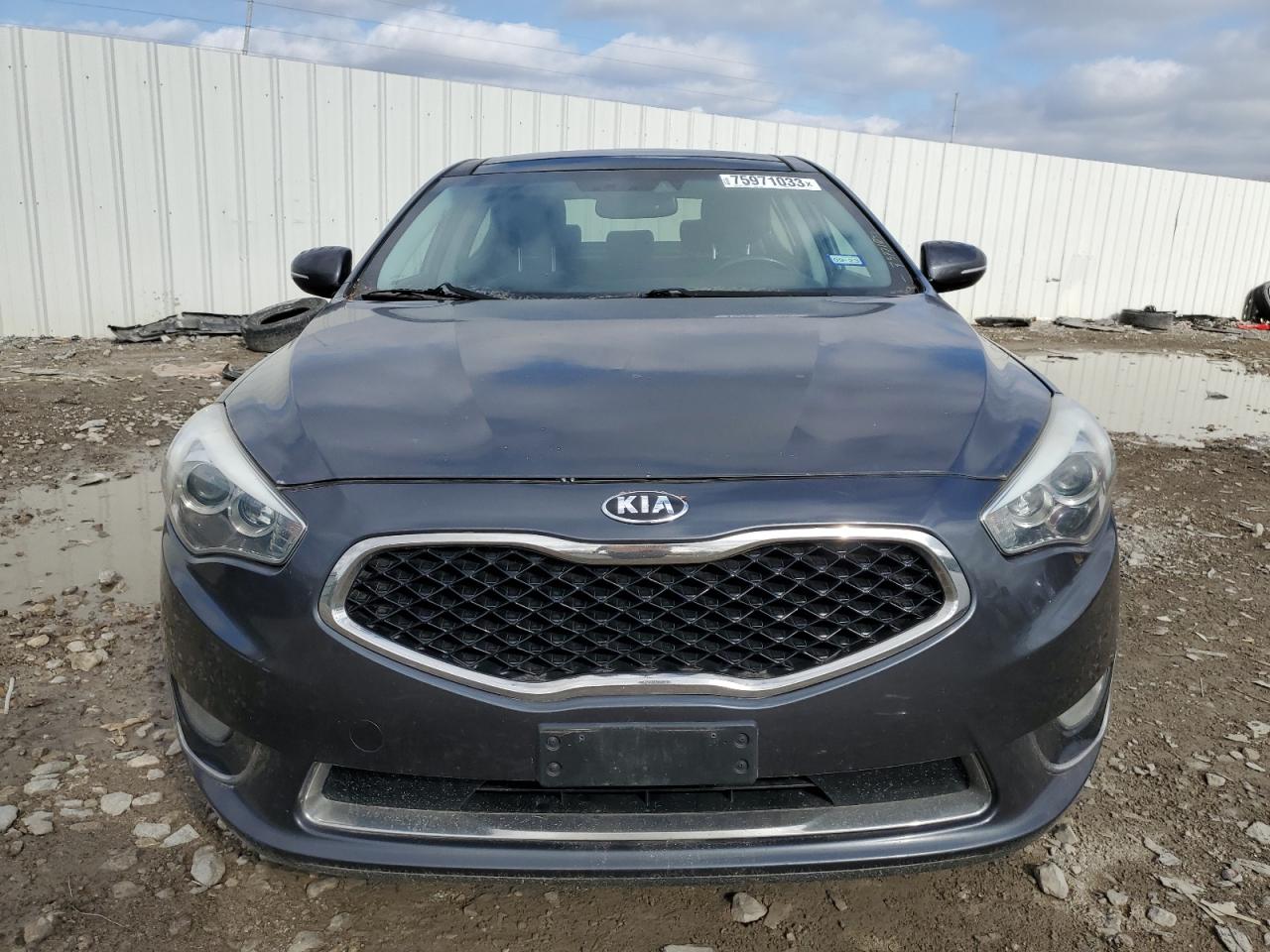 2014 Kia Cadenza Premium vin: KNALN4D74E5132022