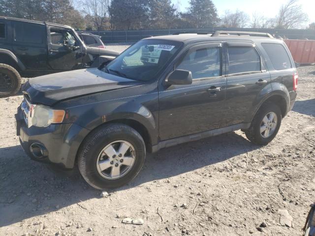 2009 Ford Escape XLT