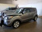 KNDJN2A20E7080285 2014 Kia Soul