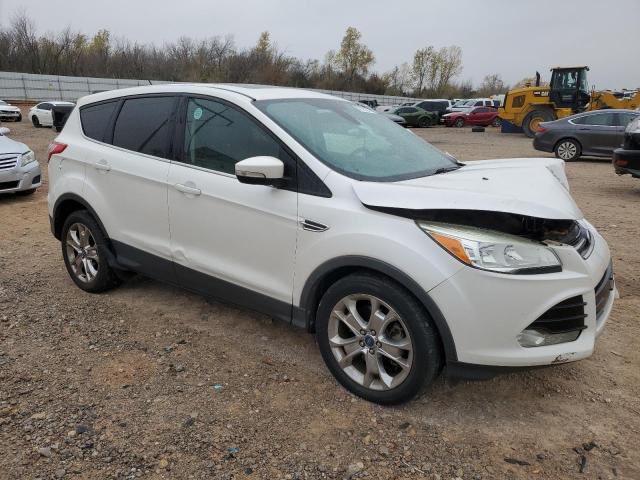 2013 Ford Escape Sel VIN: 1FMCU0H90DUA39928 Lot: 75779523