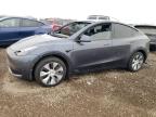 2023 TESLA MODEL Y - 7SAYGAEE1PF669093