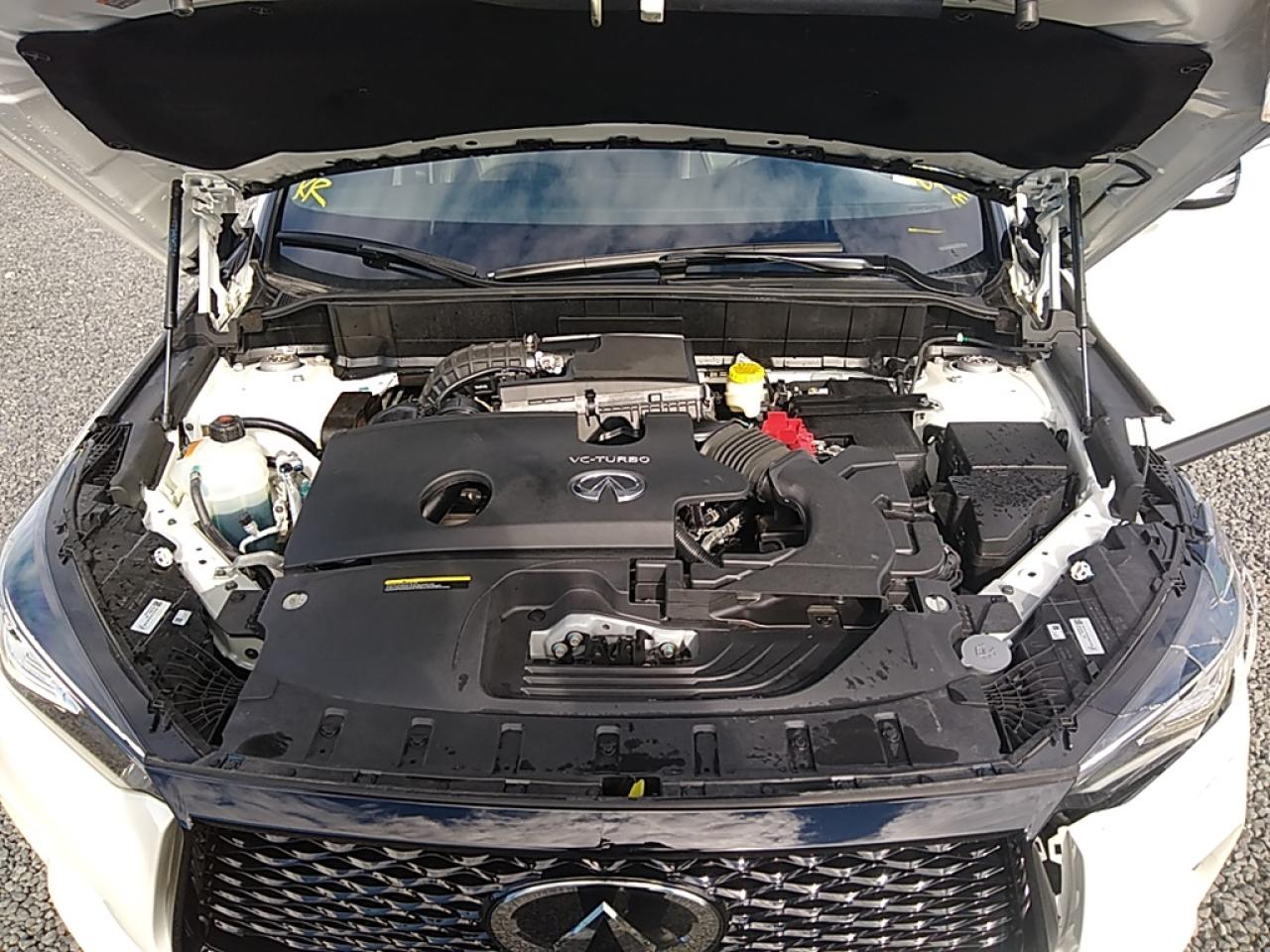 3PCAJ5BB8NF115418 2022 Infiniti Qx50 Luxe